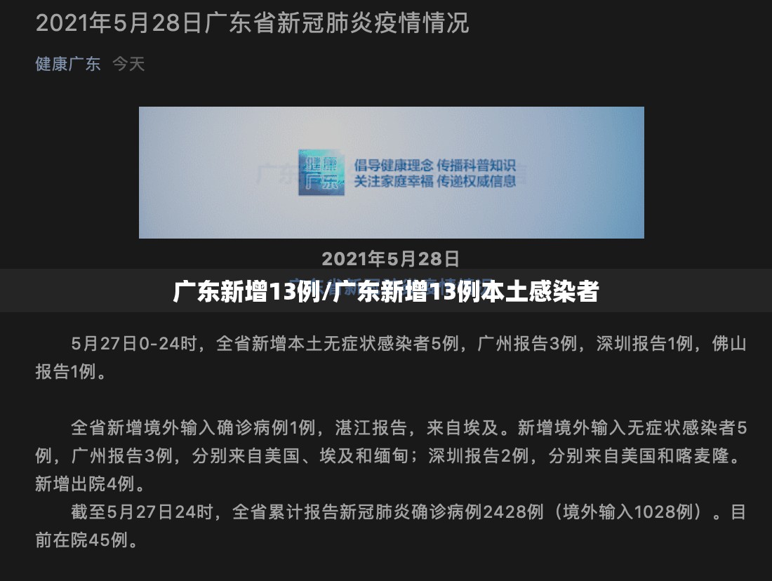 广东新增13例/广东新增13例本土感染者
