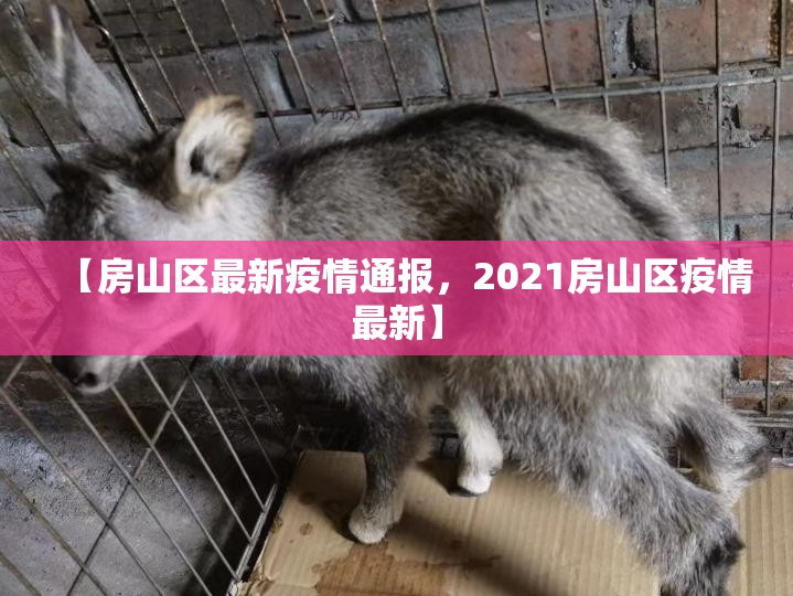 【房山区最新疫情通报，2021房山区疫情最新】