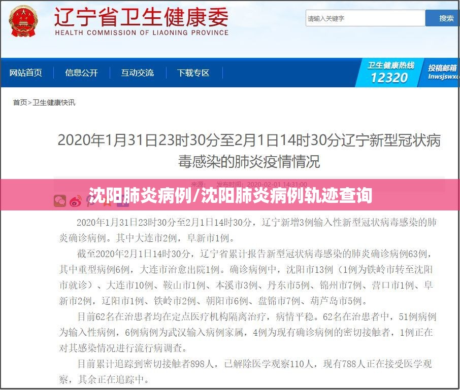 沈阳肺炎病例/沈阳肺炎病例轨迹查询