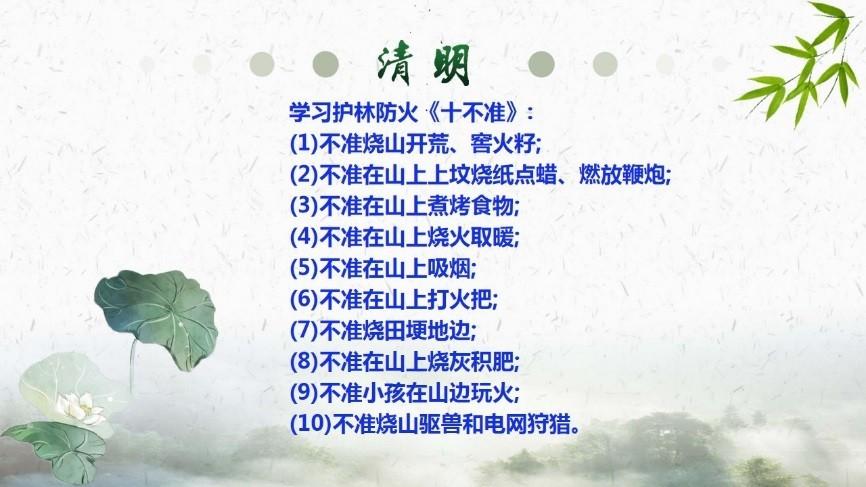 几号清明节2021(几月几号清明节)