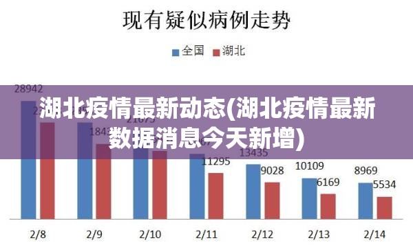 湖北疫情最新动态(湖北疫情最新数据消息今天新增)