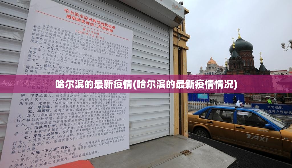 哈尔滨的最新疫情(哈尔滨的最新疫情情况)