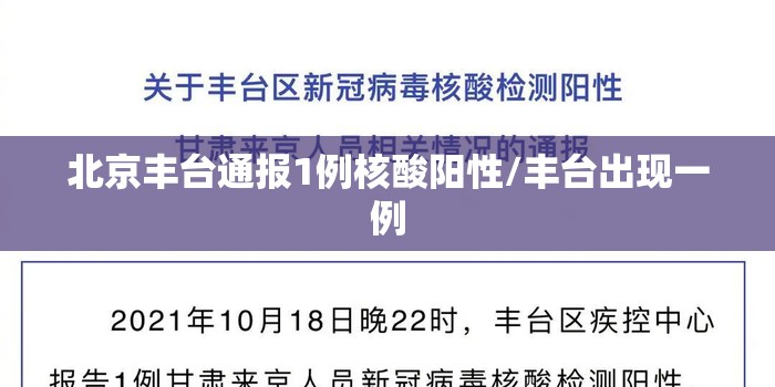 北京丰台通报1例核酸阳性/丰台出现一例