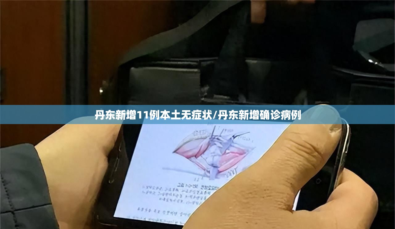 丹东新增11例本土无症状/丹东新增确诊病例