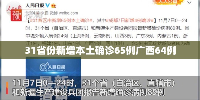 31省份新增本土确诊65例广西64例