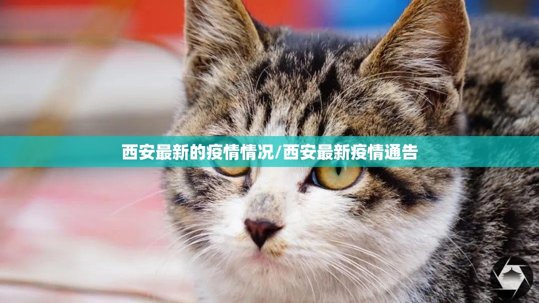 西安最新的疫情情况/西安最新疫情通告
