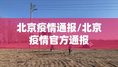 【黑龙江新增本土确诊病例25例，黑龙江新增确诊病例5例,累计确诊9例】