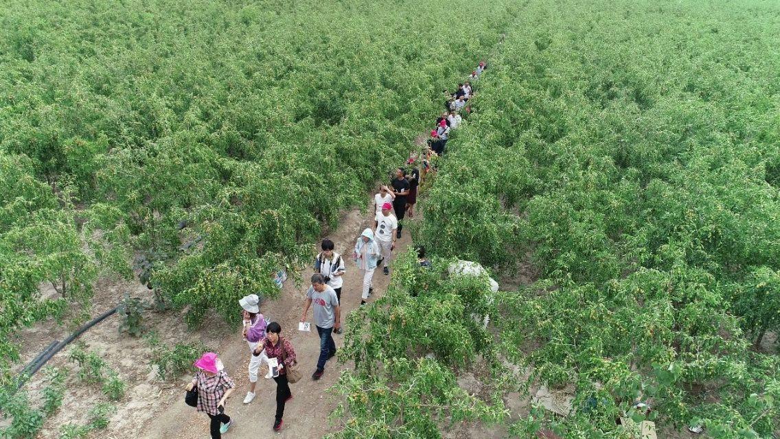 【青岛疫情最新消息今天新增了15例，青岛疫情最新信息8例】