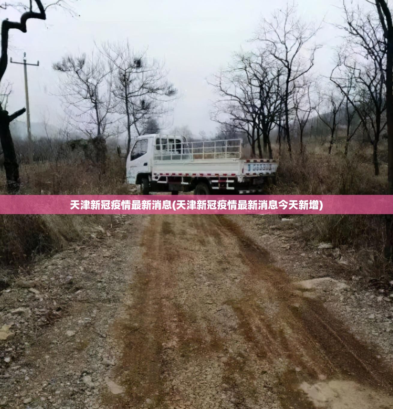 常州疫情最新数据消息(常州疫情最新情况最新消息线路图)