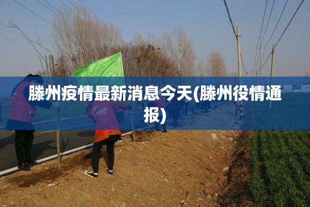 31省新增15例确诊(31省新增15例确诊 本土4例在四川)