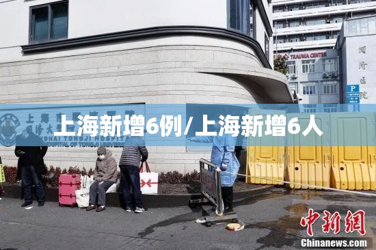 上海新增6例/上海新增6人