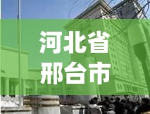 青岛4小时增36例本土/青岛增加3例