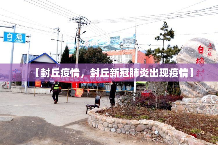 【内蒙古新增本土12例，内蒙古新增病例情况】