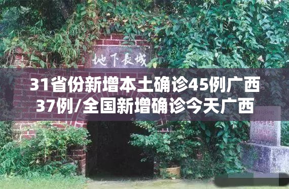 宁波疫情最新动态(宁波疫情最新动态数据)