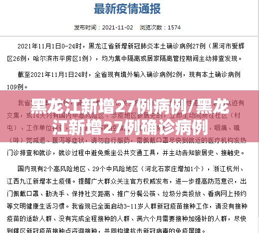 黑龙江新增27例病例/黑龙江新增27例确诊病例