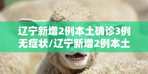 4省现北京关联病例/北京新增本地关联病例