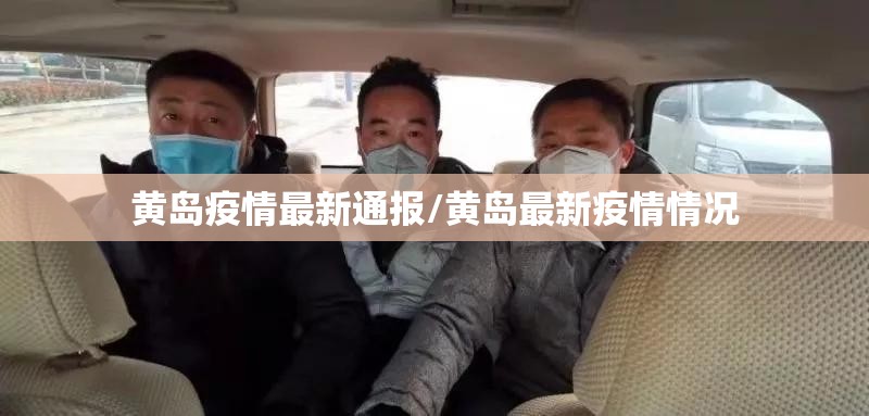 上海确诊病例累计总数/上海确诊病例有多少例