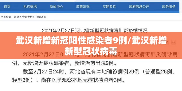 武汉新增新冠阳性感染者9例/武汉新增新型冠状病毒