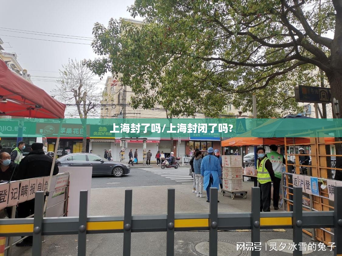 成都限牌(成都限牌照)