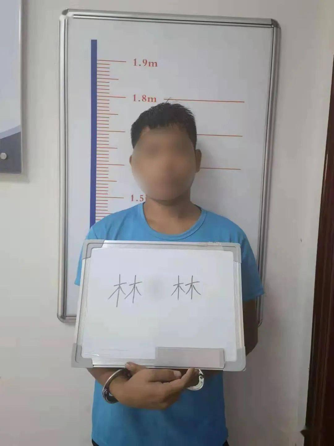 林某杰/林某杰弑母案则因作案时系限定刑事责任能力人