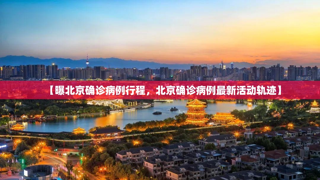 北京新增境外输入病例11例/北京新增境外输入确诊病例10例