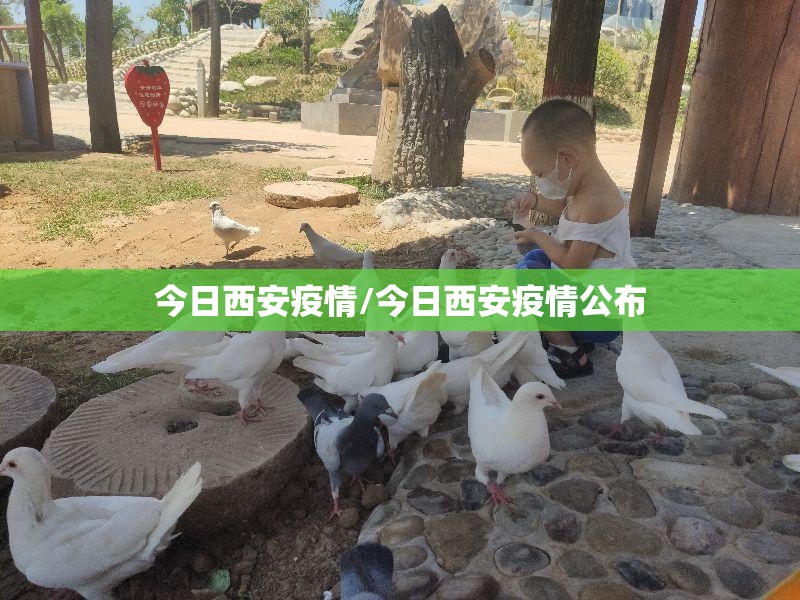 致哈尔滨疫情扩散的满洲里病例发声/致哈尔滨疫情扩散的满洲里病例发声的一封信