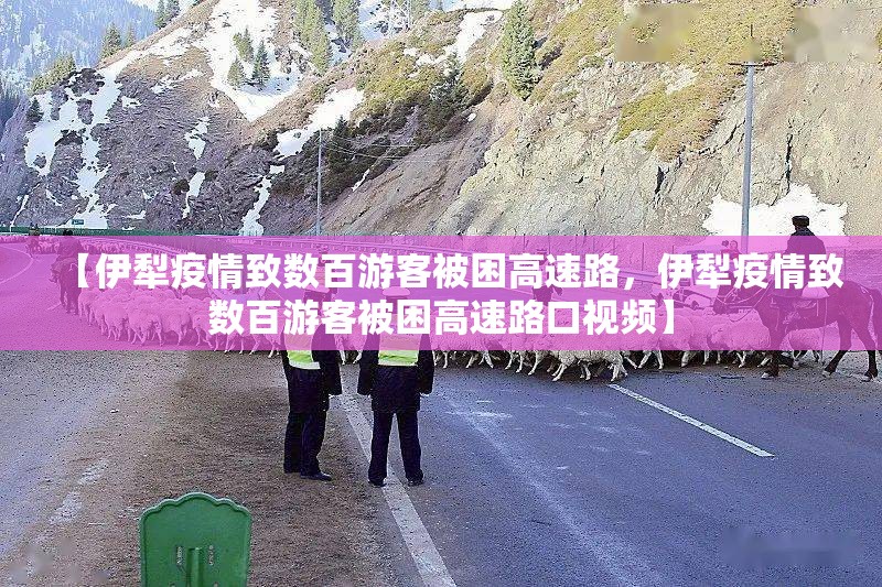 大连疫情为何增速/大连疫情零增长