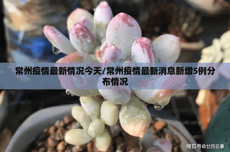 成都今日限号(成都今日限号限行时间)