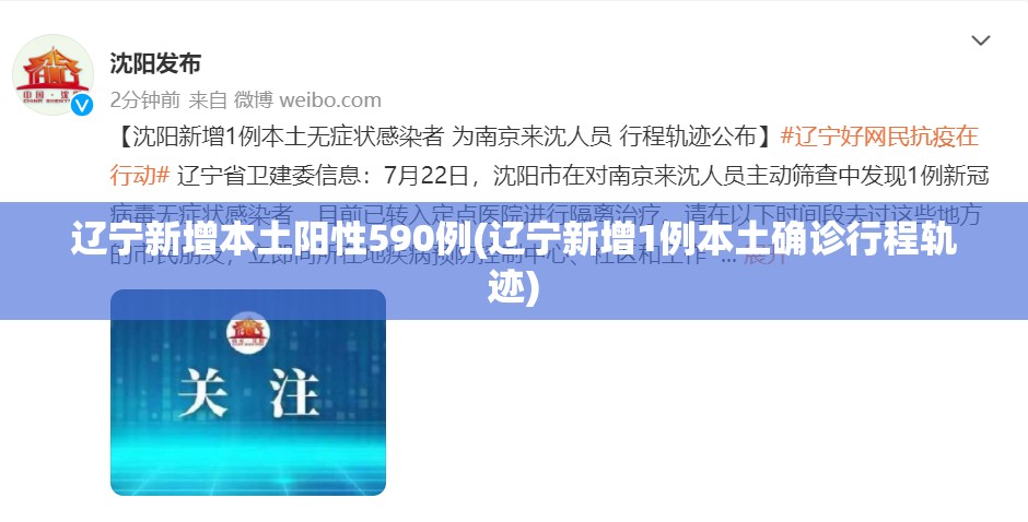 望奎疫情(望奎疫情婚礼谁家办的哪天办的)