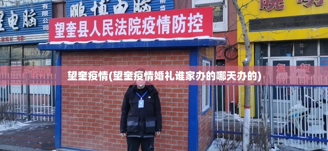 望奎疫情(望奎疫情婚礼谁家办的哪天办的)
