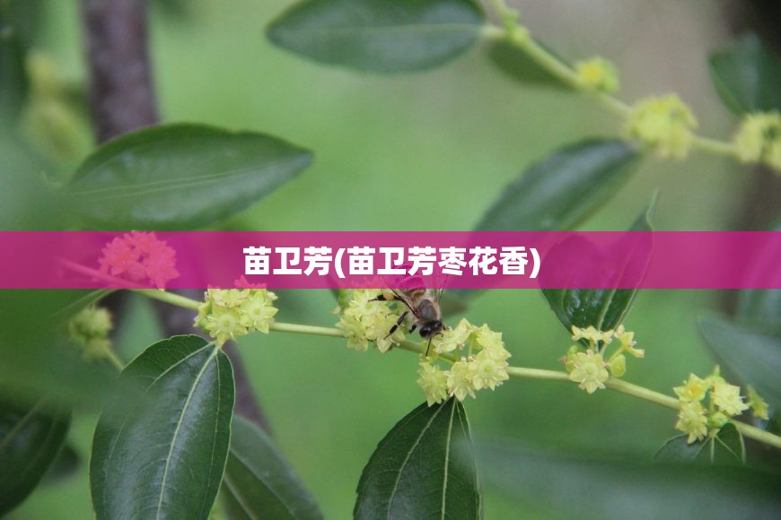 沈阳封控区管控区解封(沈阳封控区管控区解封条件)