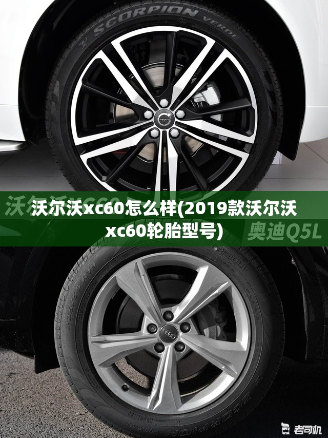 【成都限号2022最新限号规定，成都限号2022最新限号规定12月份】