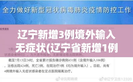 辽宁新增3例境外输入无症状(辽宁省新增1例境外输入新冠肺炎确诊病例)