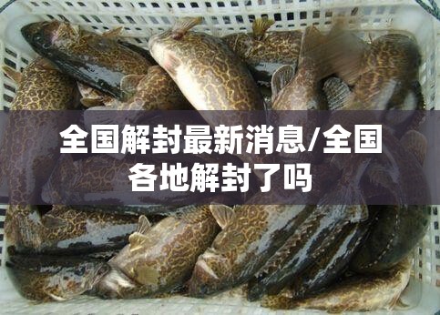 胶州宋城美域疫情/胶州宋城美域疫情怎么样