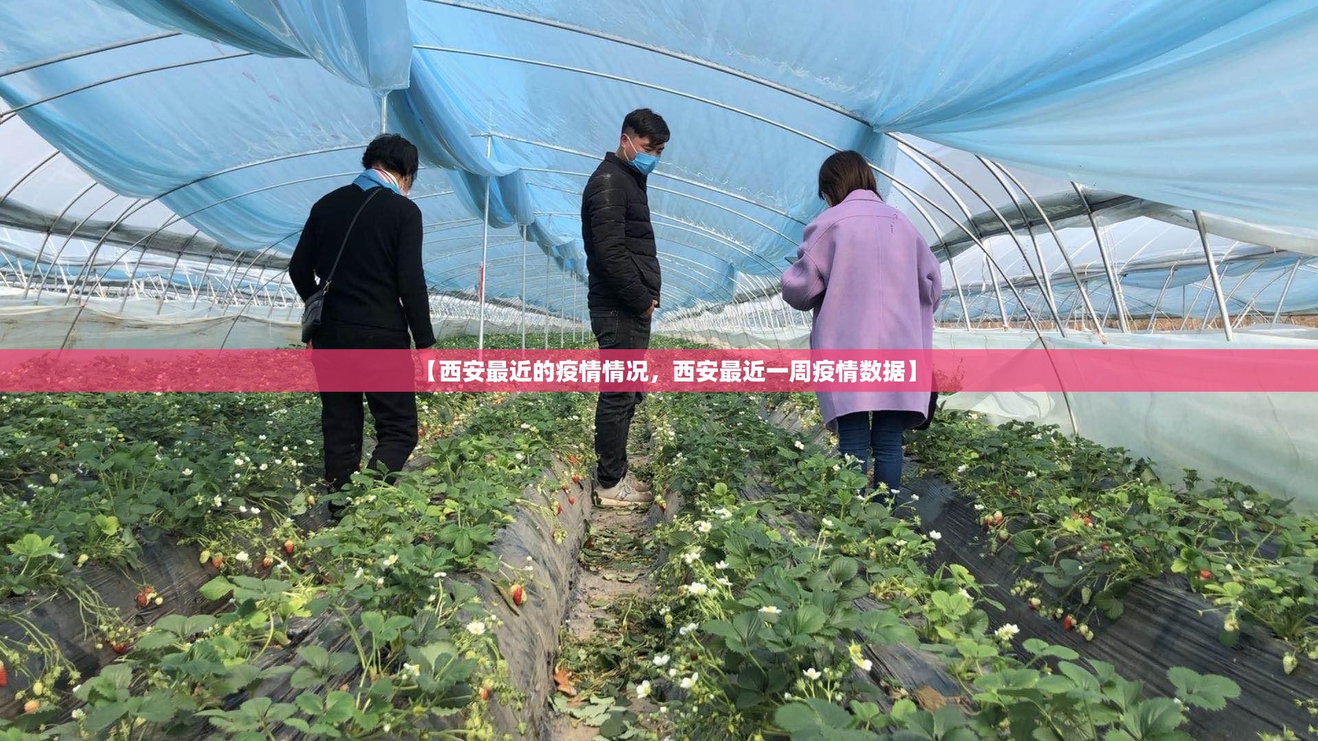 【青岛市疫情最新情况，青岛市疫情最新情况】