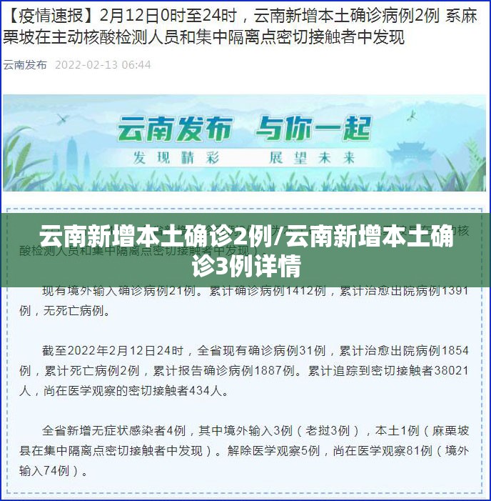 吉林省新增本土确诊46例/吉林省新增本地确诊病例33例