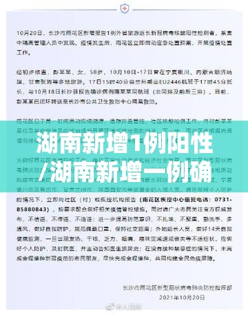 【深圳车辆违章，深圳车辆违章如何申请首例免罚】