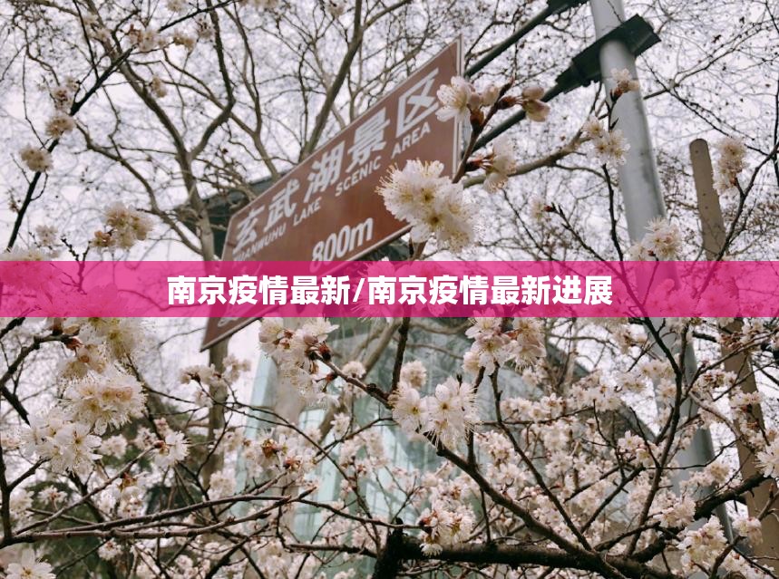 郑州已发生社区传播/郑州传播疫情的那个人