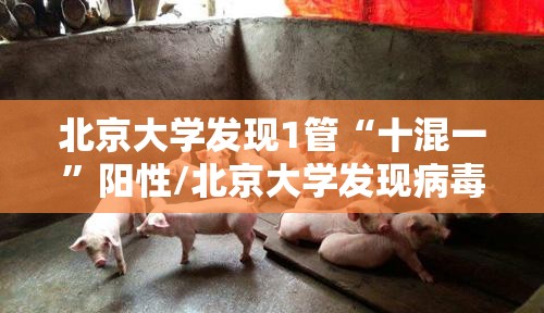 最近西安的疫情情况/最近西安疫情 最新消息 数据