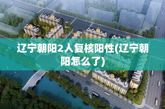 辽宁朝阳2人复核阳性(辽宁朝阳怎么了)