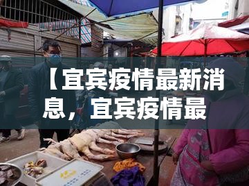 【呼和浩特现有1218例阳性，呼和浩特 阳性】