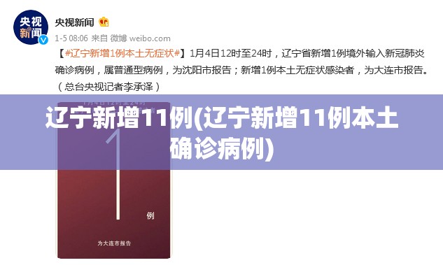 31省区市新增108例/31省区市新增确诊108例