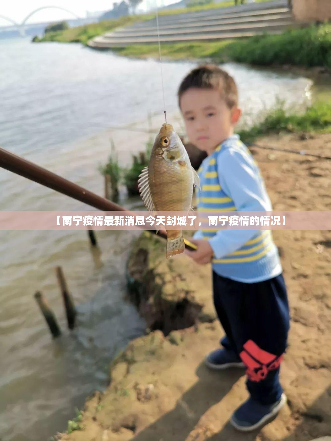 西安疫情最新情况/西安疫情最新情况通报