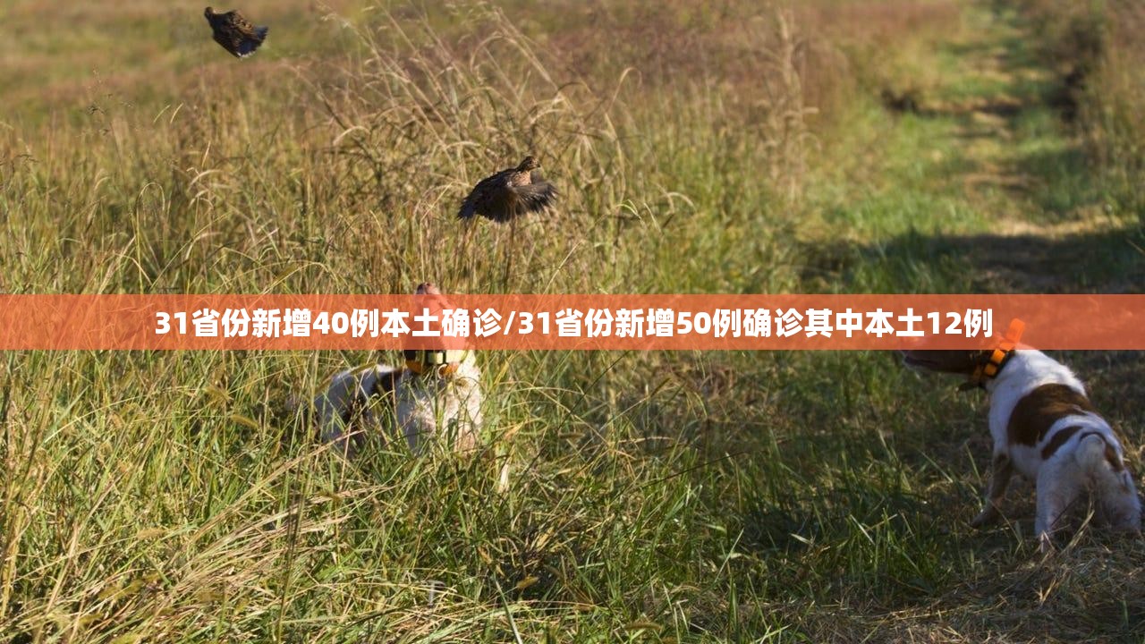 31省区市新增本土确诊61例/31省区市新增本土确诊病例