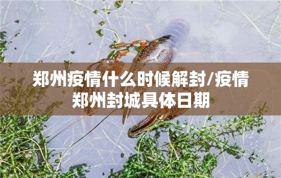 黄岛区疫情/黄岛最新事件新闻
