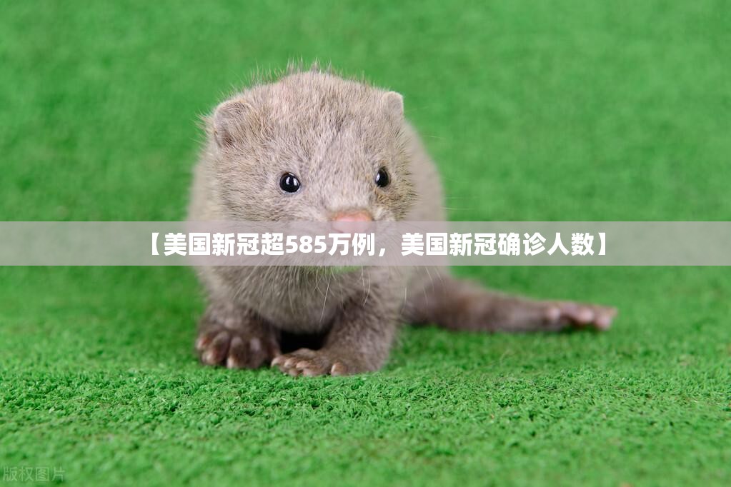 31省份新增确诊24例本土15例/31省区市新增本土确诊