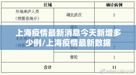 大连新冠/大连新冠指数