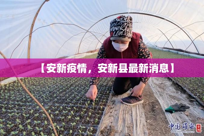 【北京疫情风险等级，北京疫情风险等级最新名单】