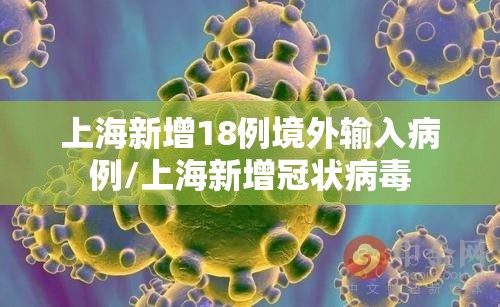 上海新增18例境外输入病例/上海新增冠状病毒
