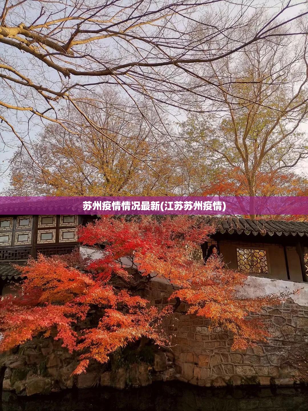 【石家庄84例确诊详情:含多名学生，石家庄感染】